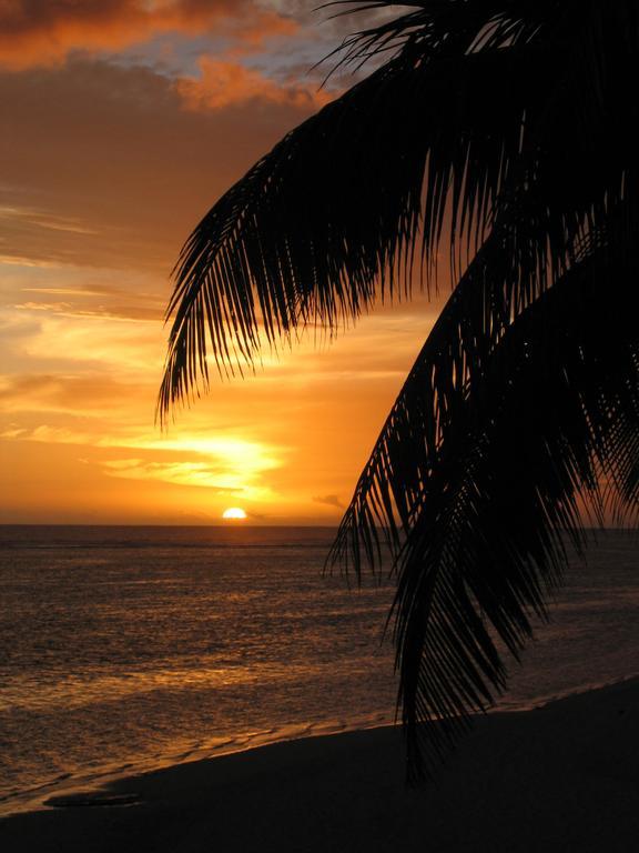Motu Beachfront Art Villas ラロトンガ島 部屋 写真